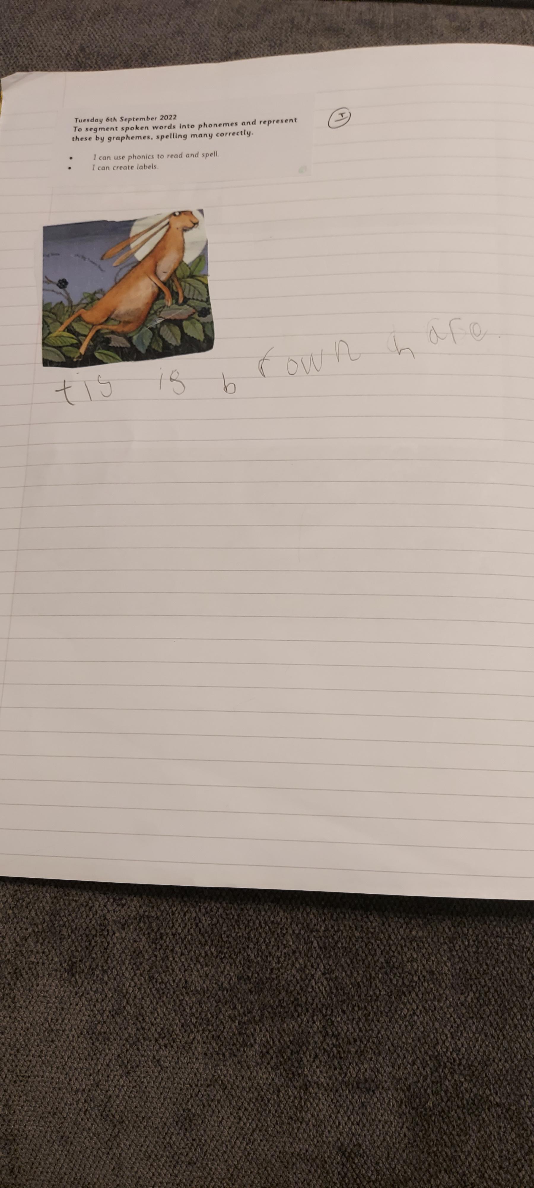 We can use phonics to read and spell.